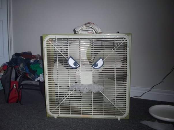 Chandzo
